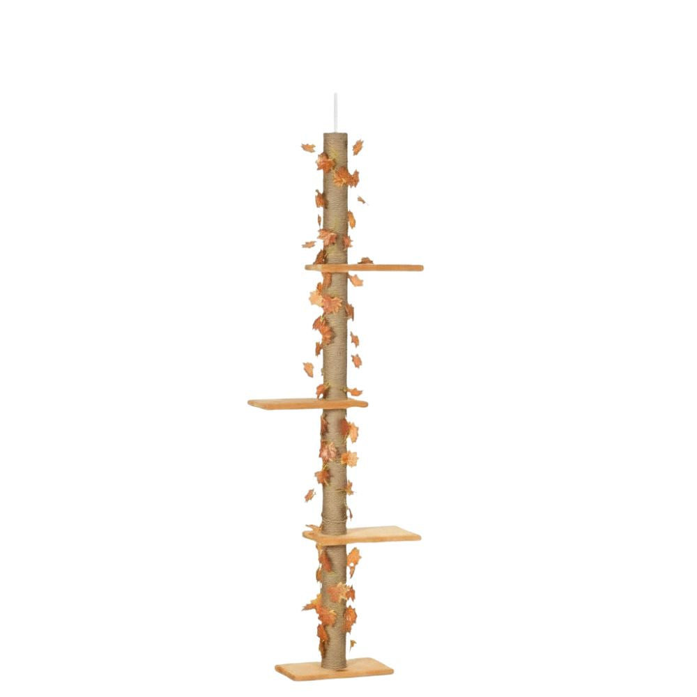 Kratzbaum Boden-Decke Doppelte Befestigung 242cm