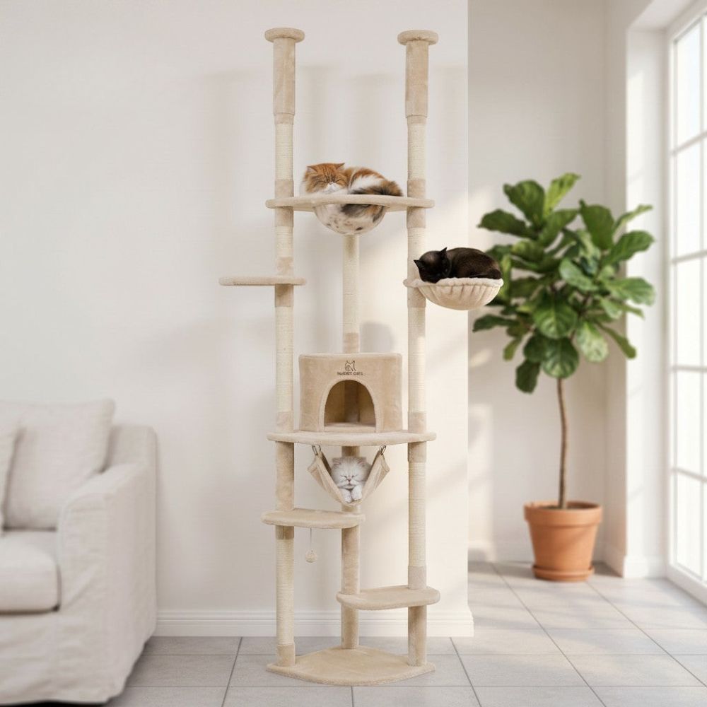 Kratzbaum Boden-Decke Mehrfarbig 258cm