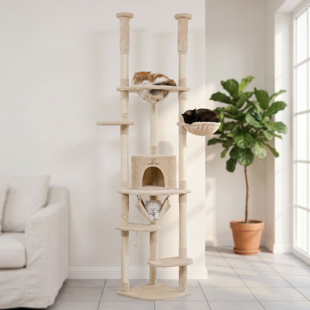 Kratzbaum Deckenbefestigung Verstellbar 258cm
