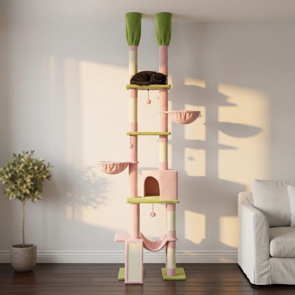 Kratzbaum Kaktus mit Boden-Decken-Befestigung