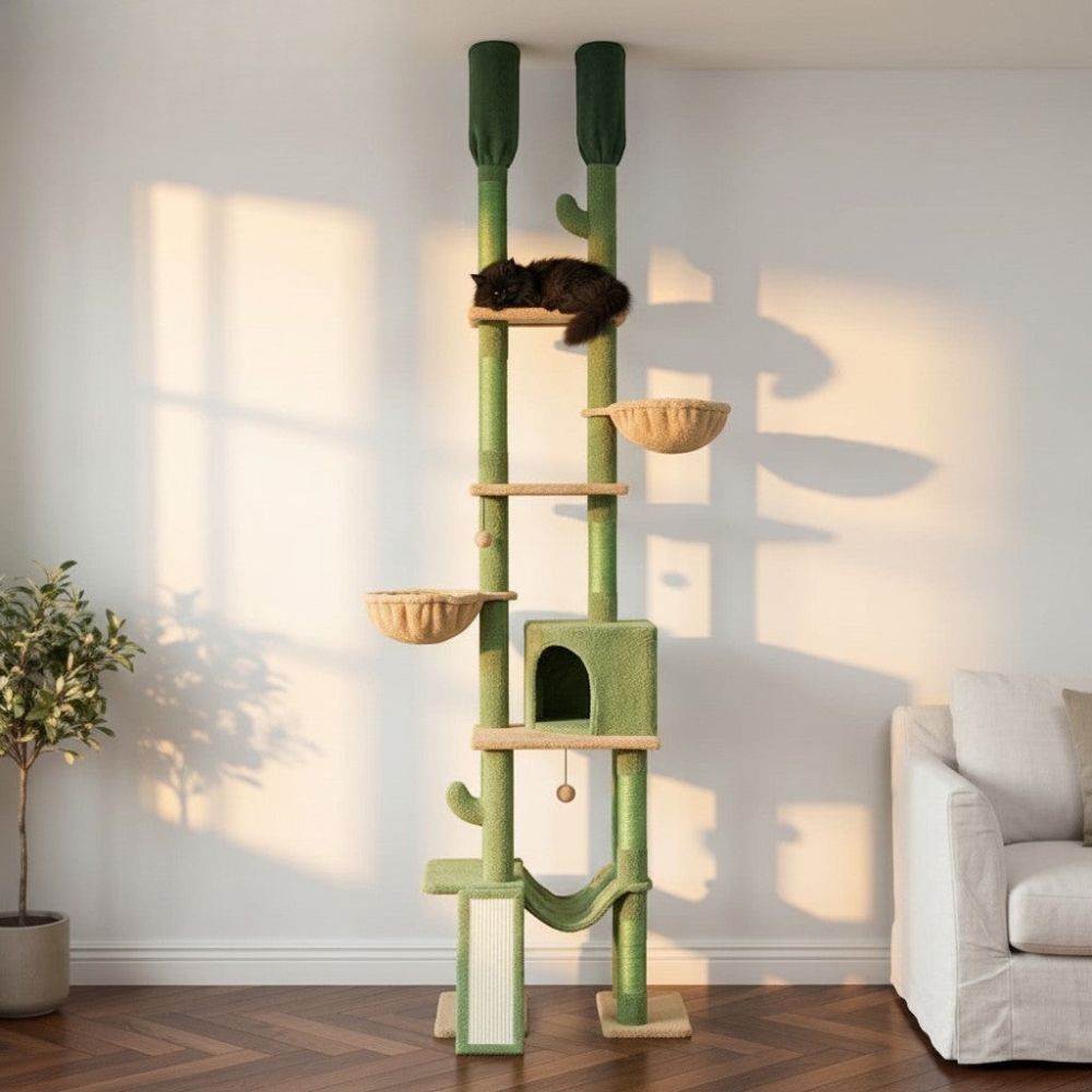 Kratzbaum Kaktus mit Boden-Decken-Befestigung