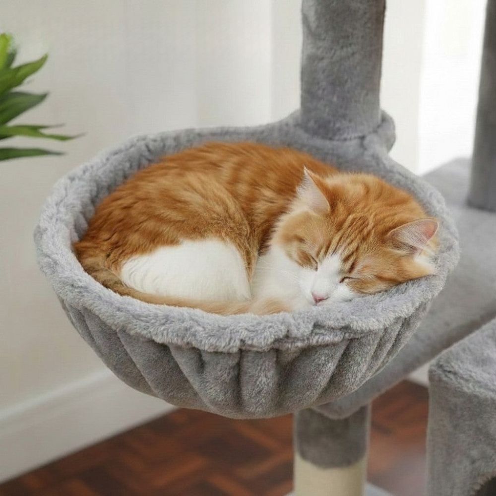 Kratzbaum Maine Coon für Wohnung 162cm