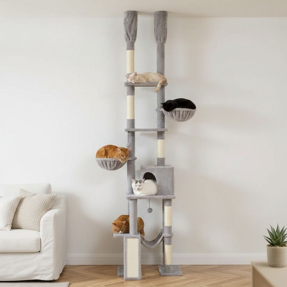 Kratzbaum Maximale Höhe Decke 285cm
