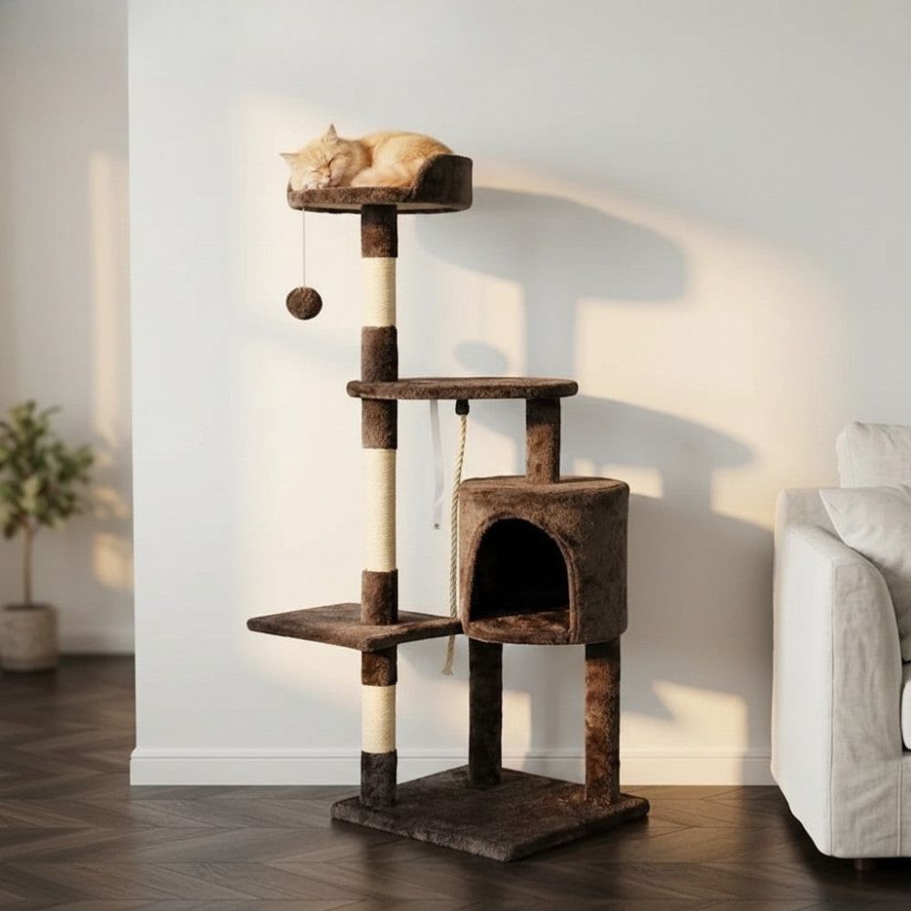 Kratzbaum Modernes Design Erschwinglich 112cm