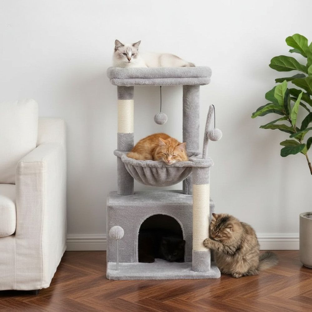 Kratzbaum Optimiert für Kleine Wohnung 84cm