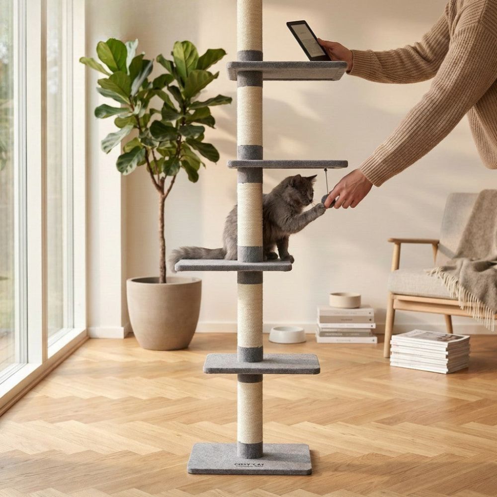 Kratzbaum Säule Deckenbefestigung Verstellbar 273cm