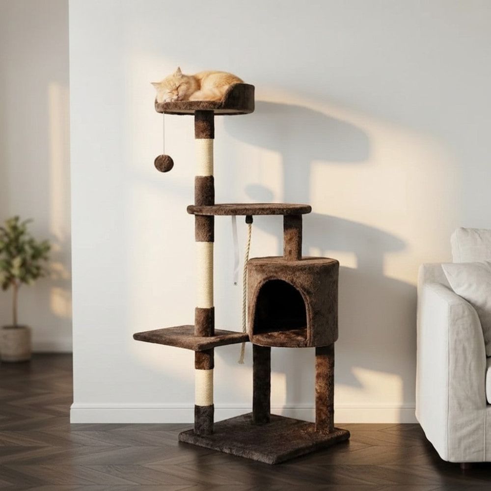 Kratzbaum Zeitgenössisches Design Klar 112cm